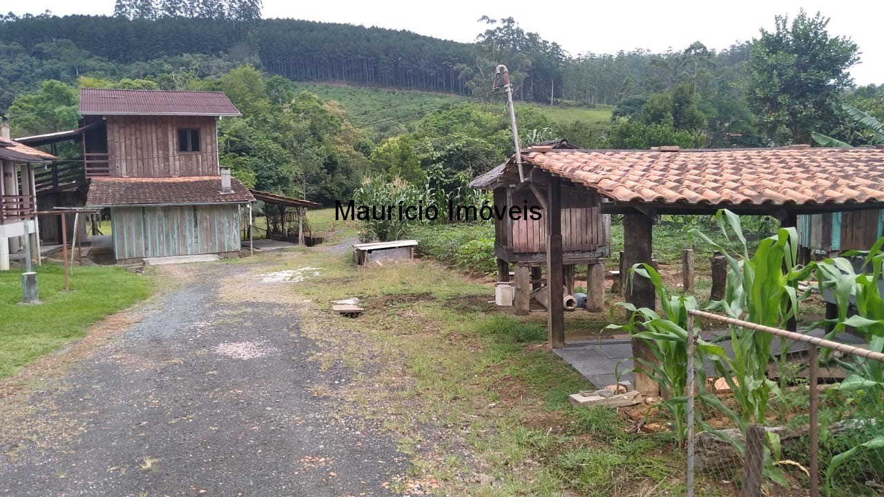 Casa, 3 quartos, 3000 m² - Foto 4