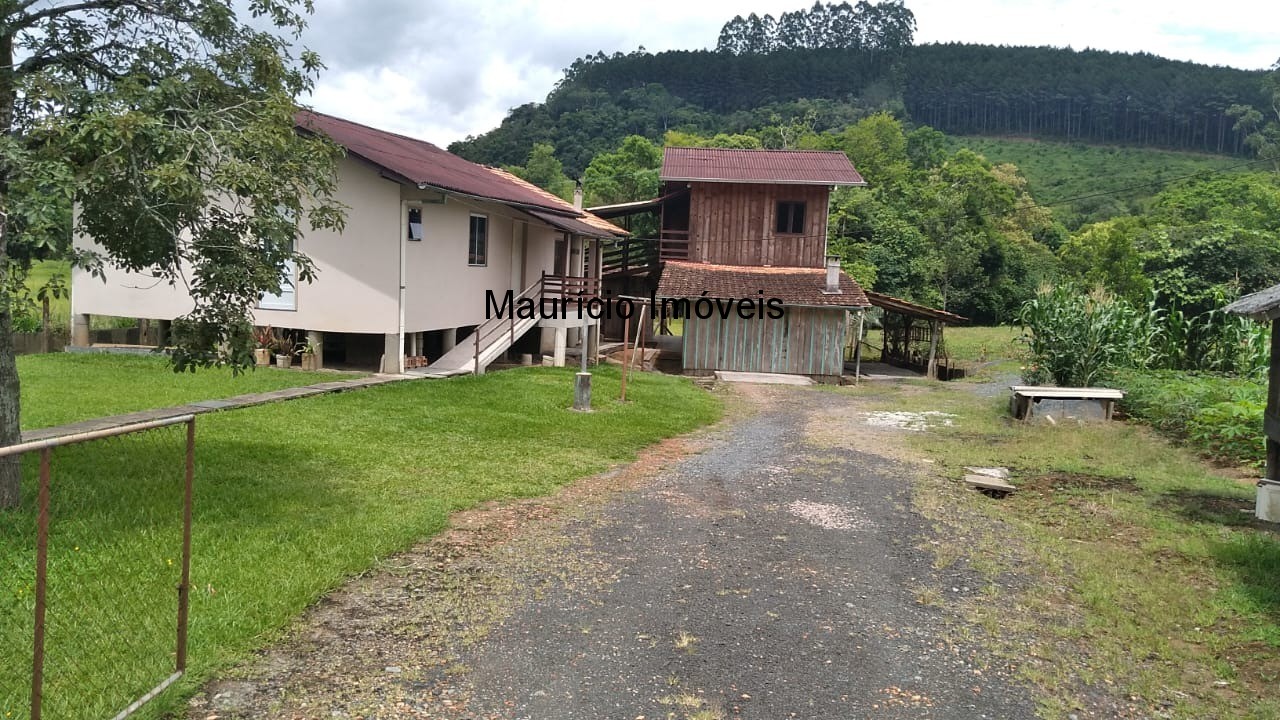 Casa, 3 quartos, 3000 m² - Foto 3