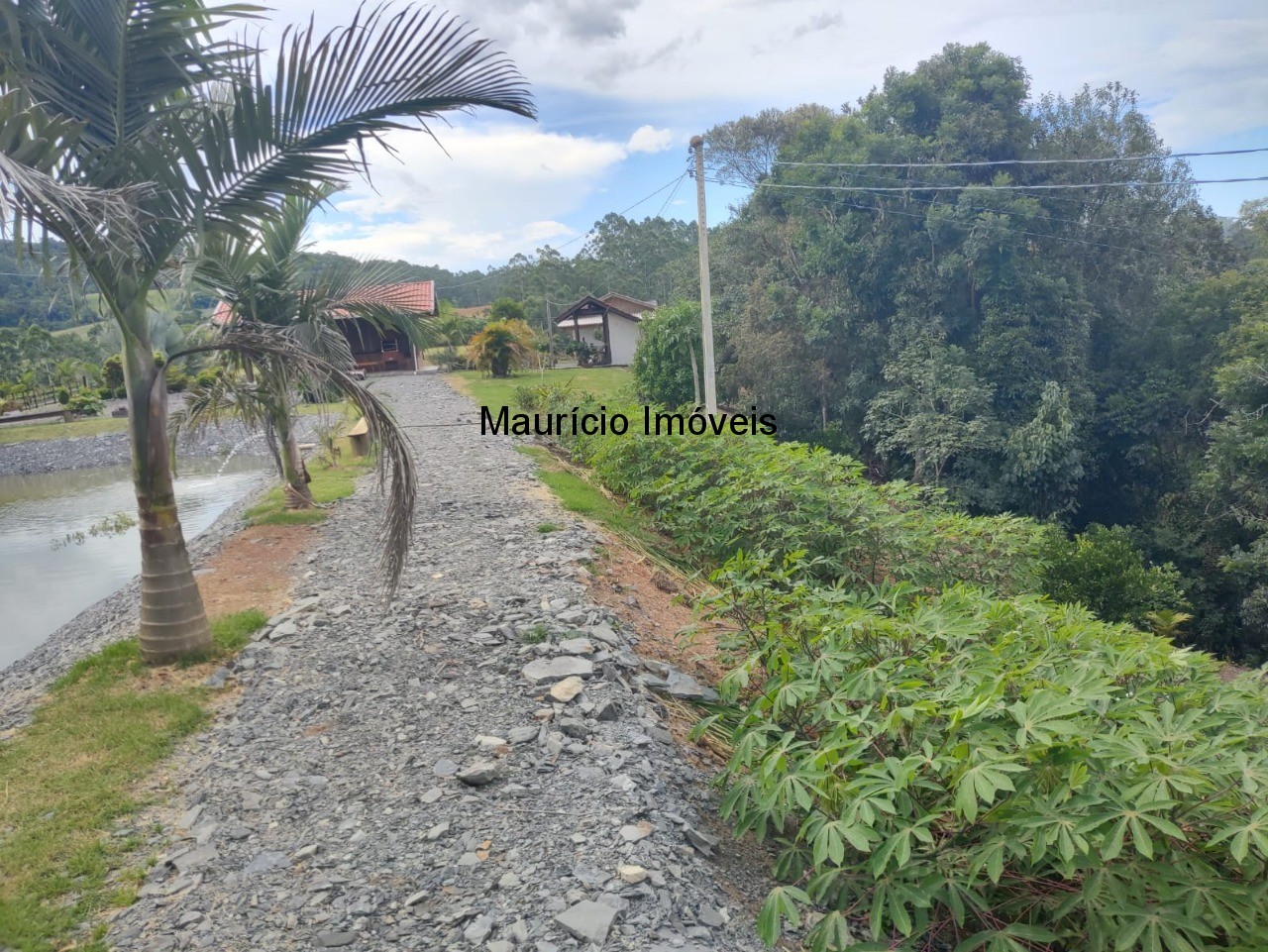 Chácara, 3 quartos, 7300 m² - Foto 47