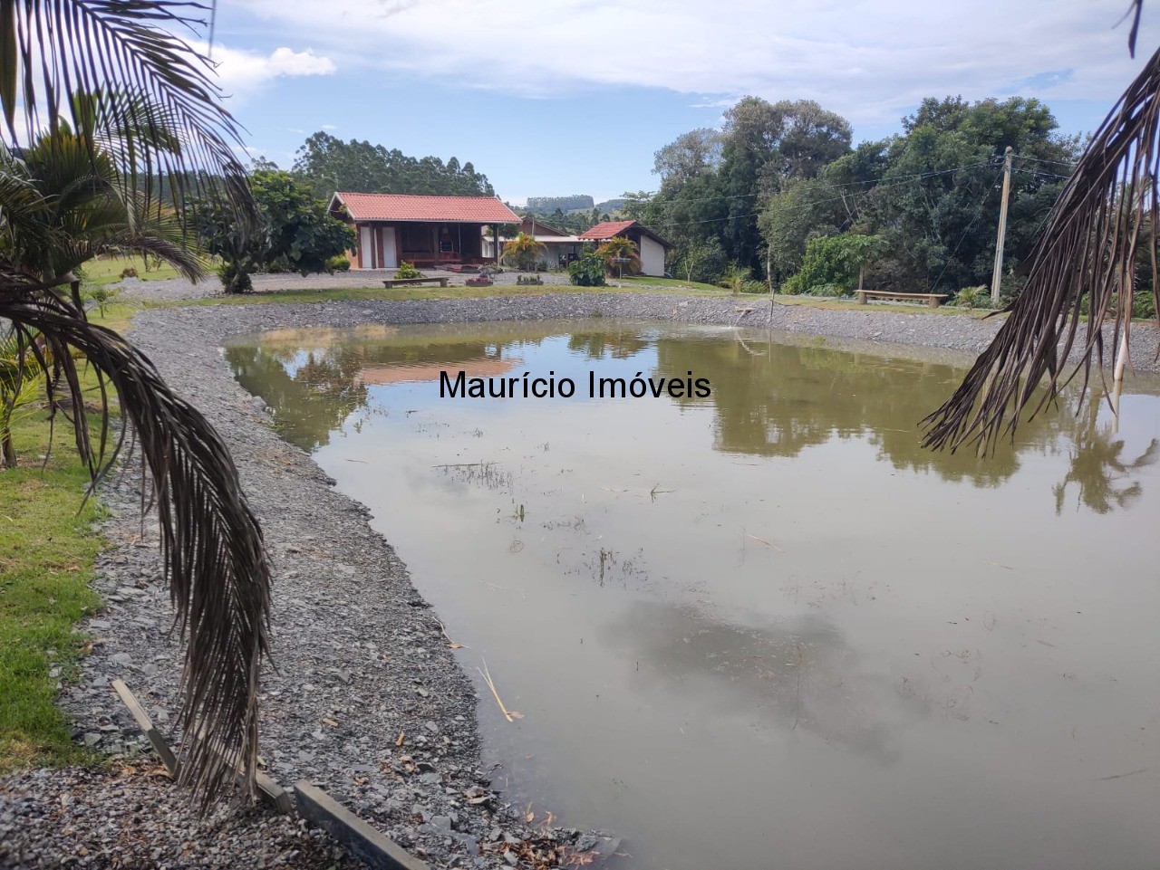 Chácara, 3 quartos, 7300 m² - Foto 3