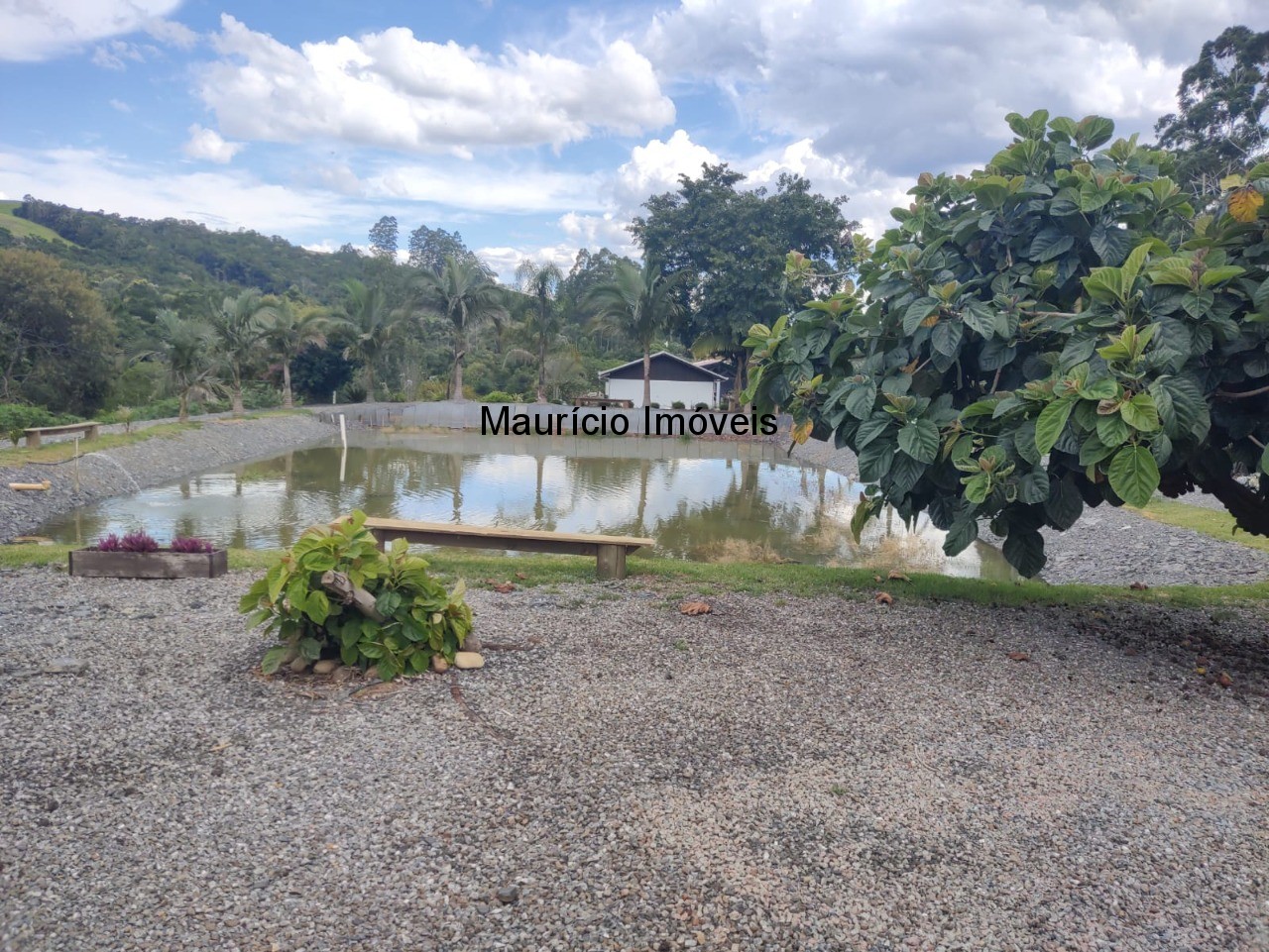 Chácara, 3 quartos, 7300 m² - Foto 4