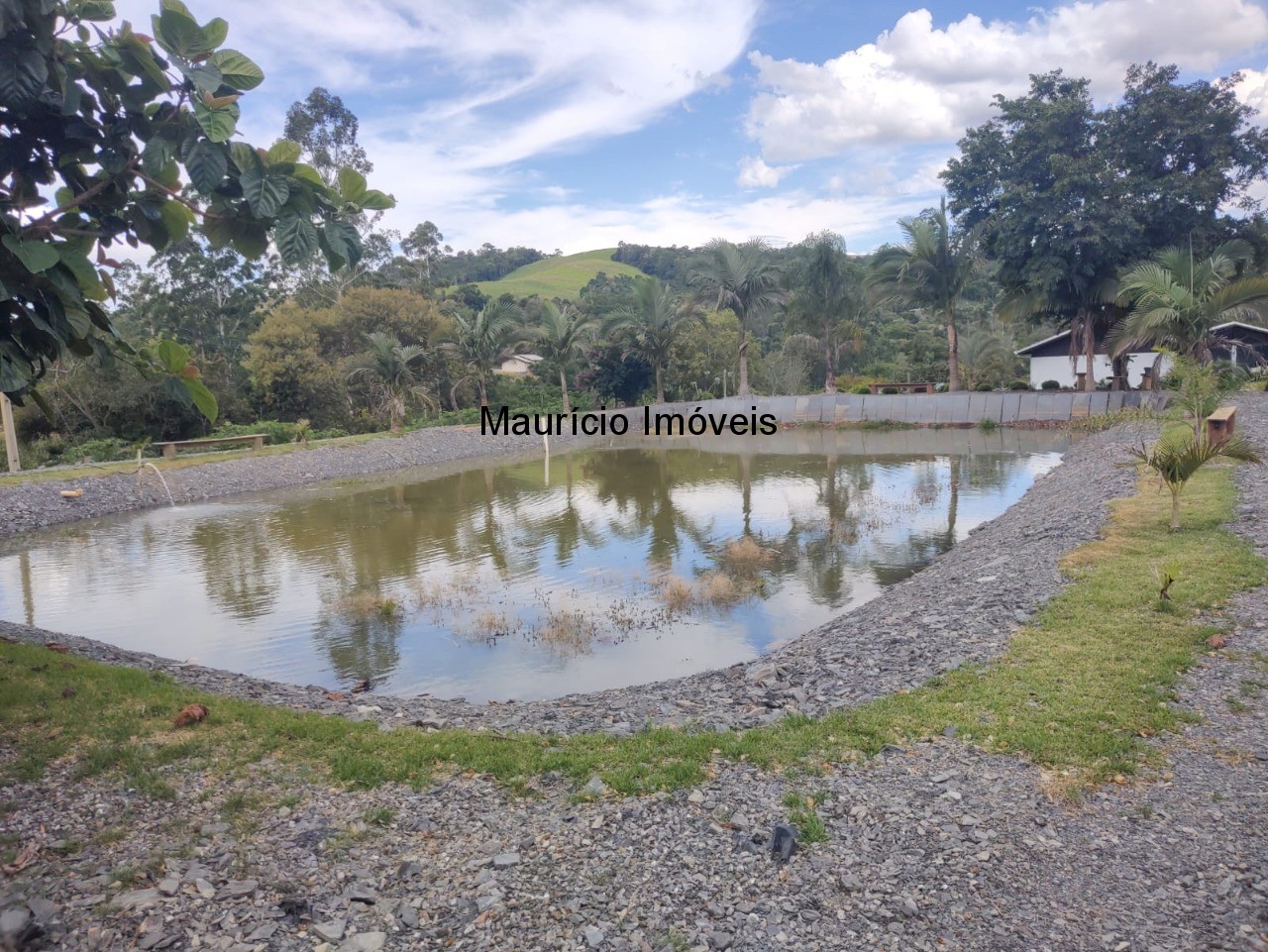 Chácara, 3 quartos, 7300 m² - Foto 45