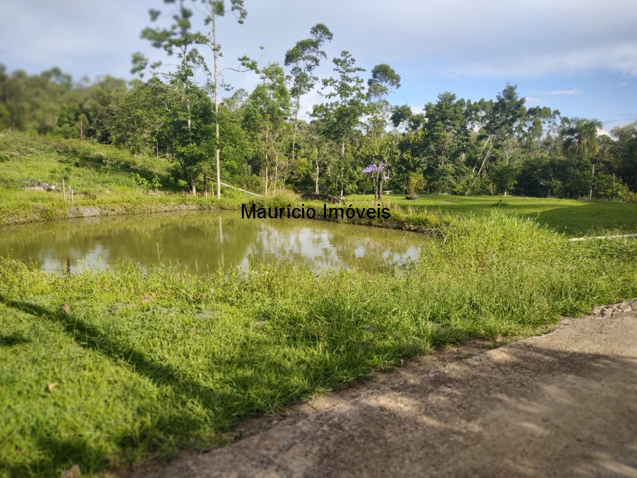 Chácara, 2 quartos, 1200 m² - Foto 13