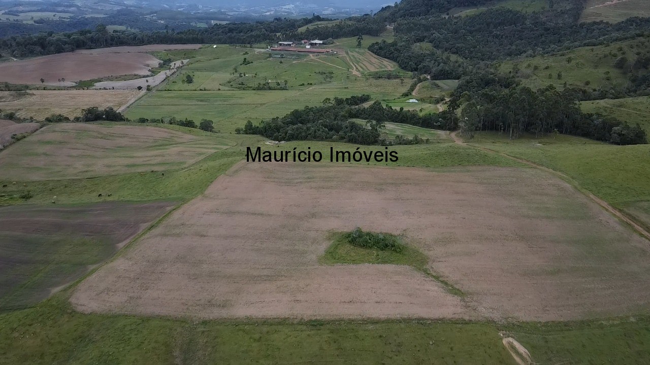 Sítio, 3 quartos, 32 m² - Foto 31