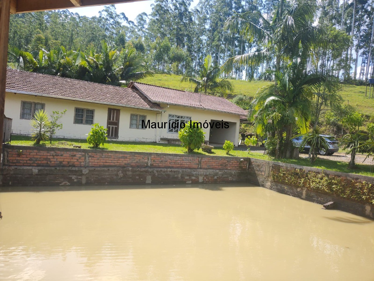 Sítio, 3 quartos, 3 hectares - Foto 2