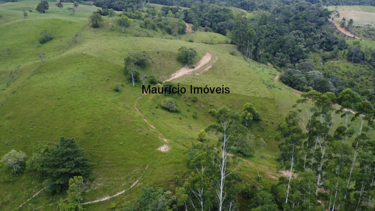 Sítio, 7 quartos, 13 m² - Foto 16