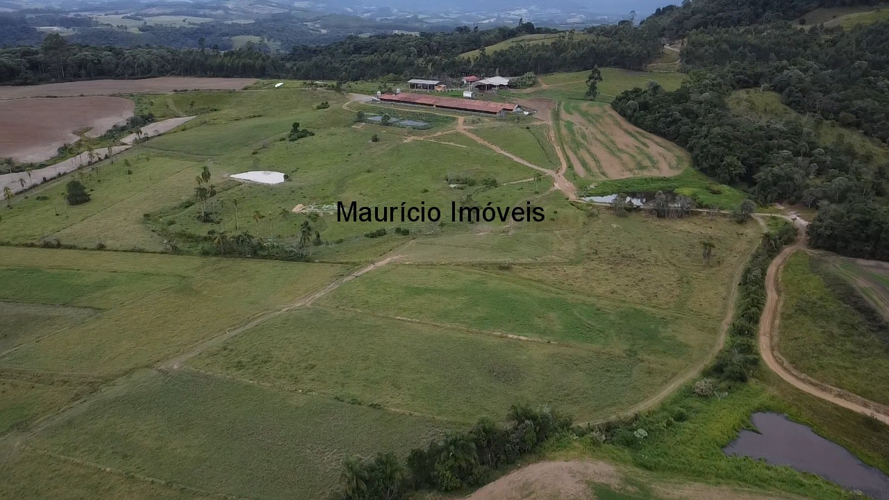 Sítio, 3 quartos, 32 m² - Foto 36