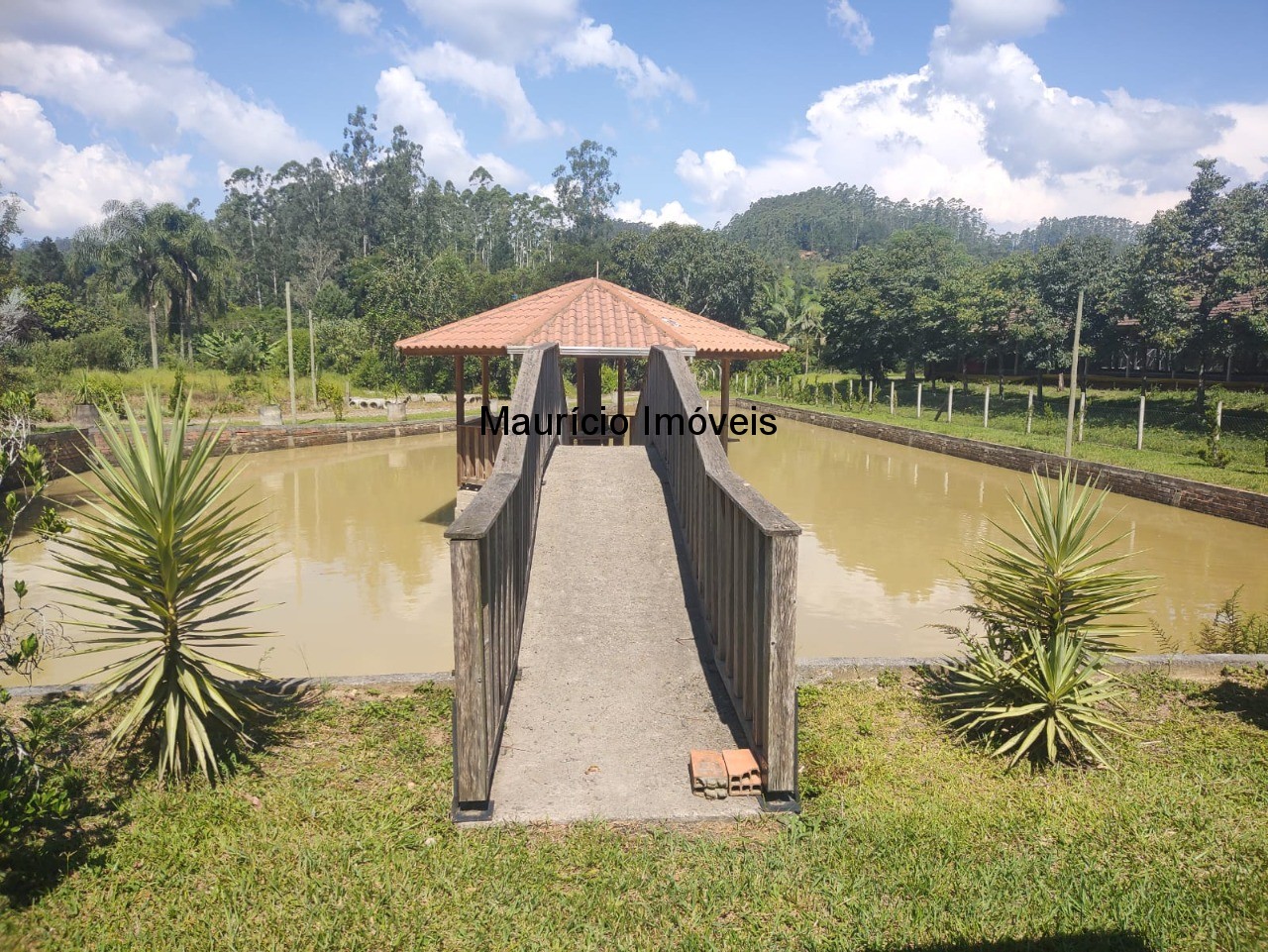 Sítio, 3 quartos, 3 hectares - Foto 28