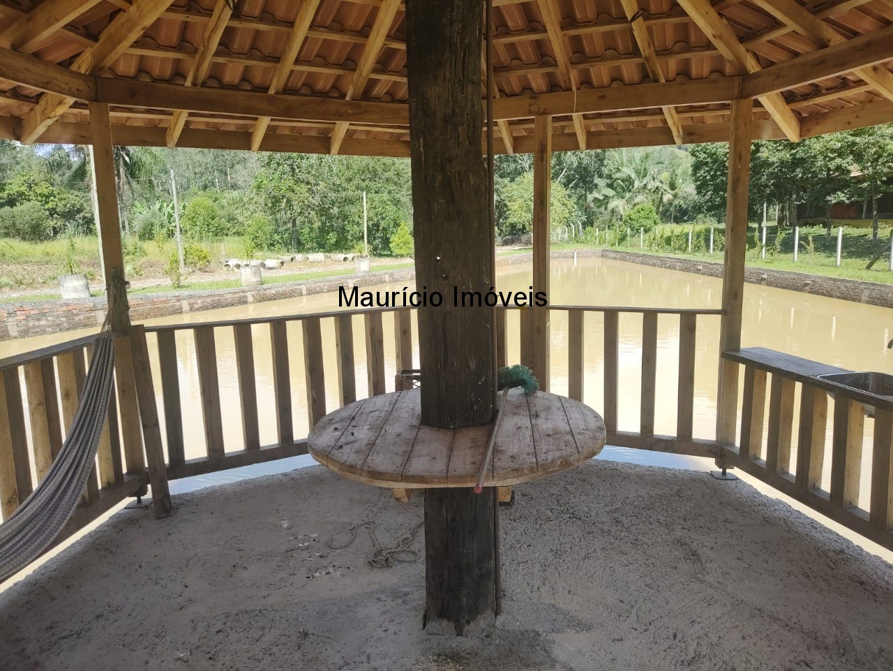 Sítio, 3 quartos, 3 hectares - Foto 6