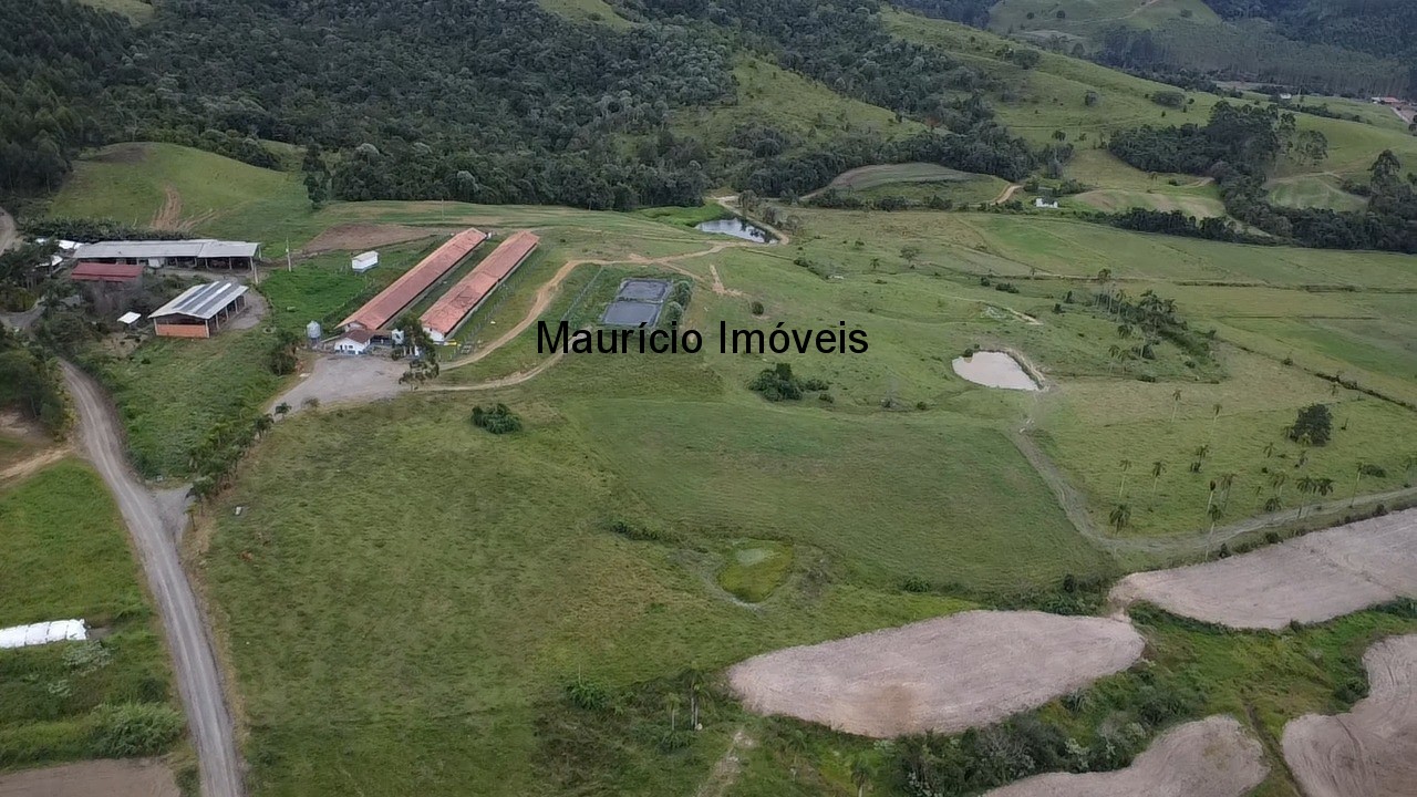 Sítio, 3 quartos, 32 m² - Foto 8