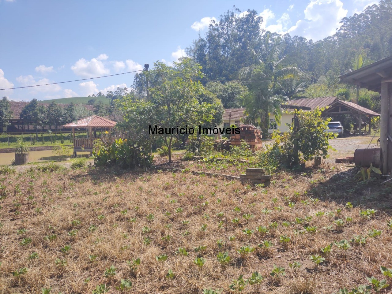 Sítio, 3 quartos, 3 hectares - Foto 7