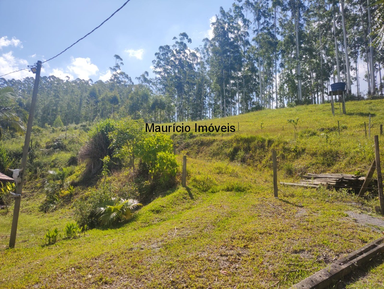 Sítio, 3 quartos, 3 hectares - Foto 21