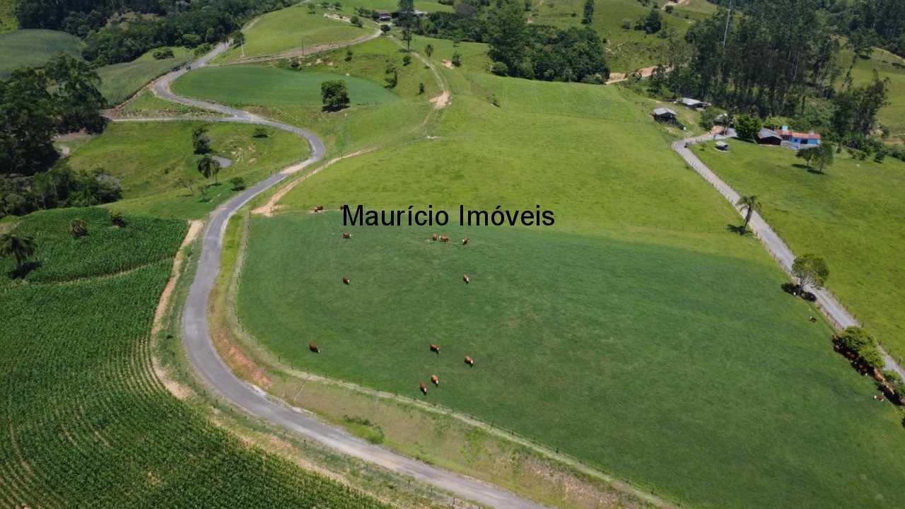 Fazenda, 37 m² - Foto 4