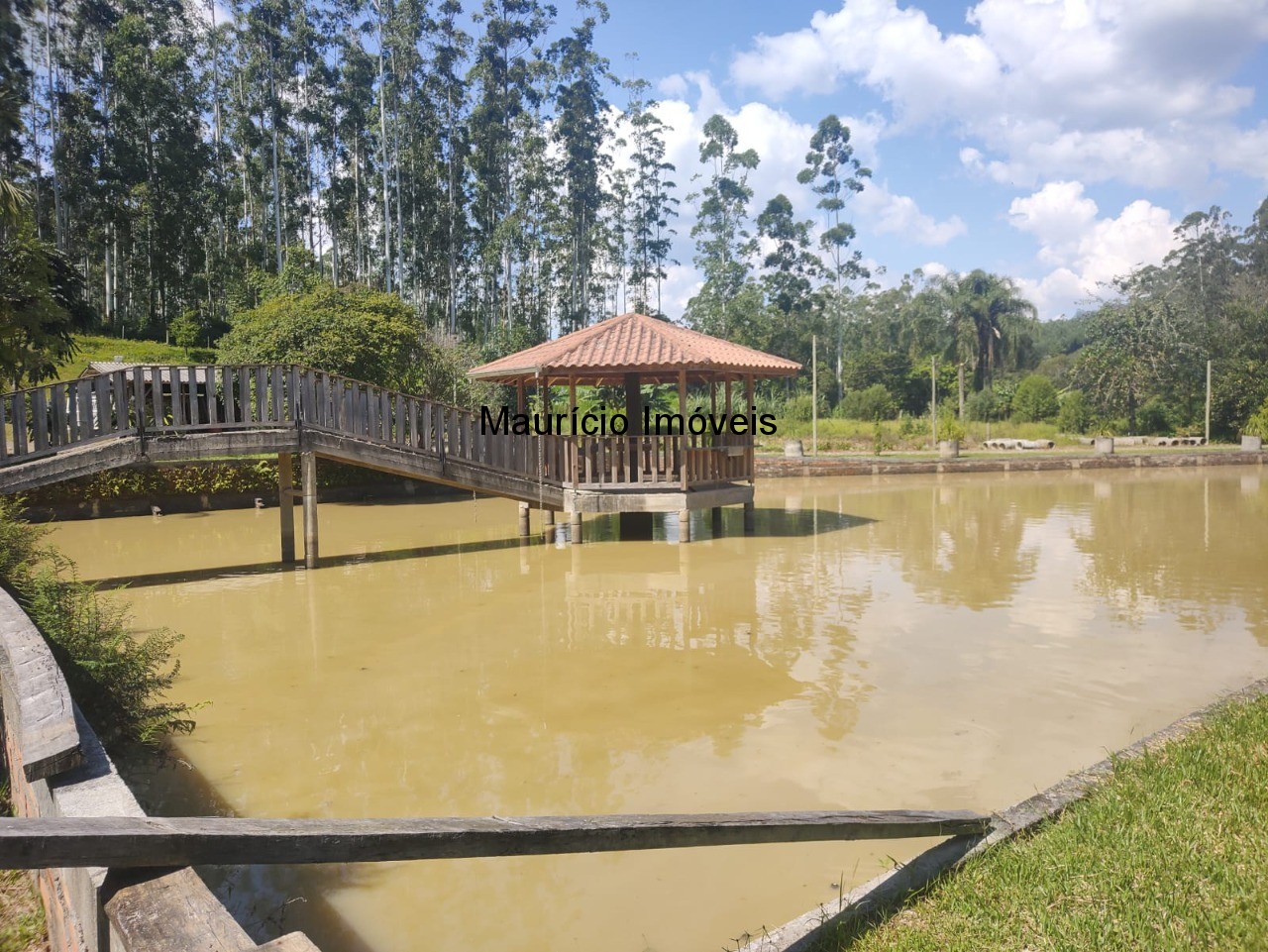 Sítio, 3 quartos, 3 hectares - Foto 25