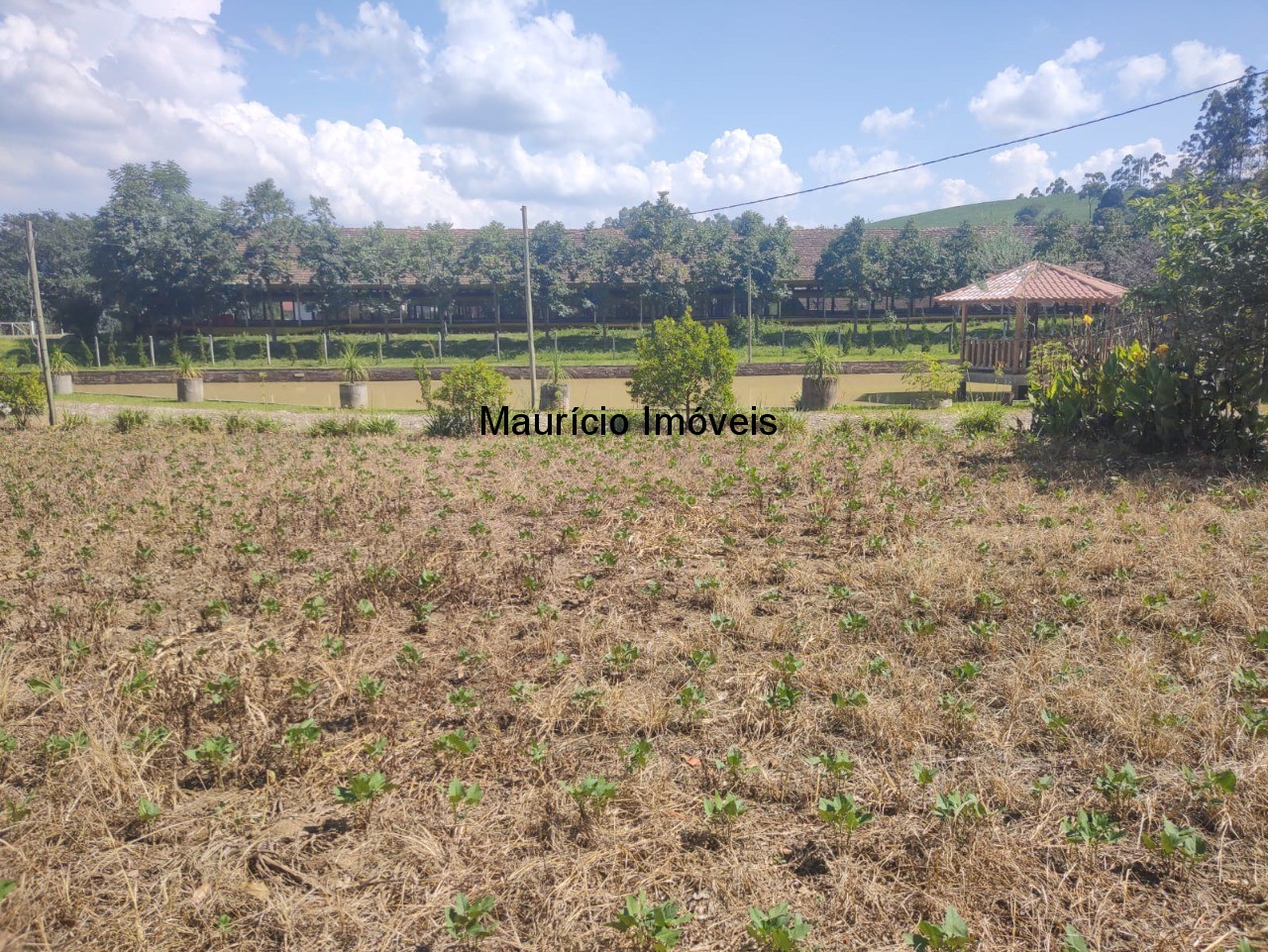 Sítio, 3 quartos, 3 hectares - Foto 4