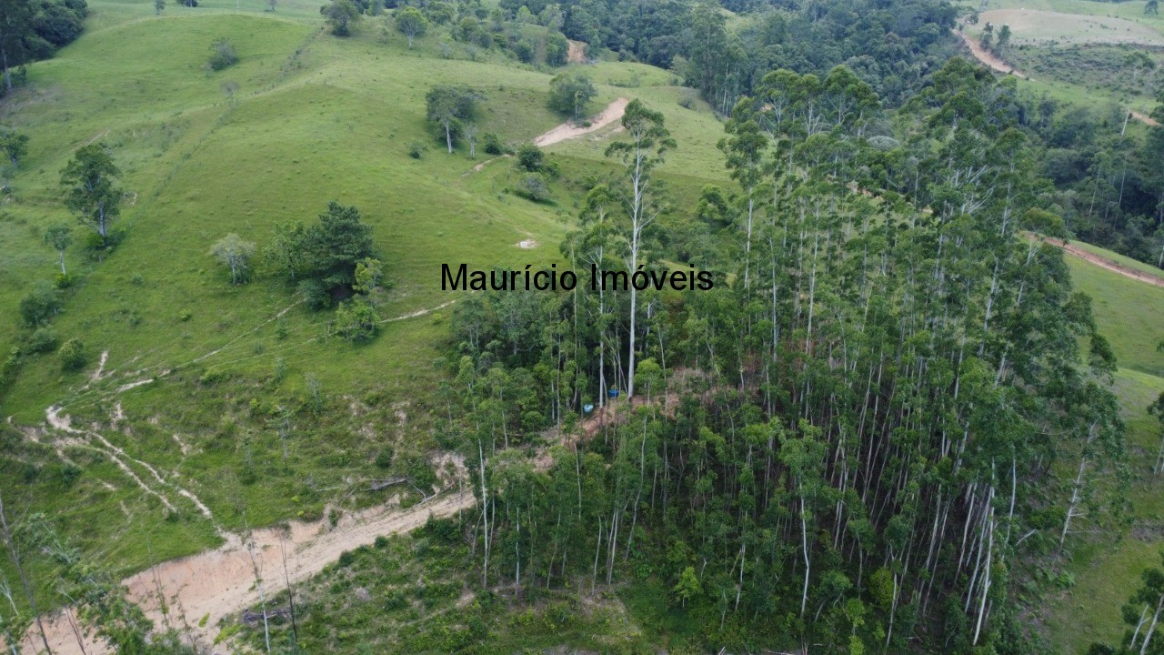 Sítio, 7 quartos, 13 m² - Foto 12