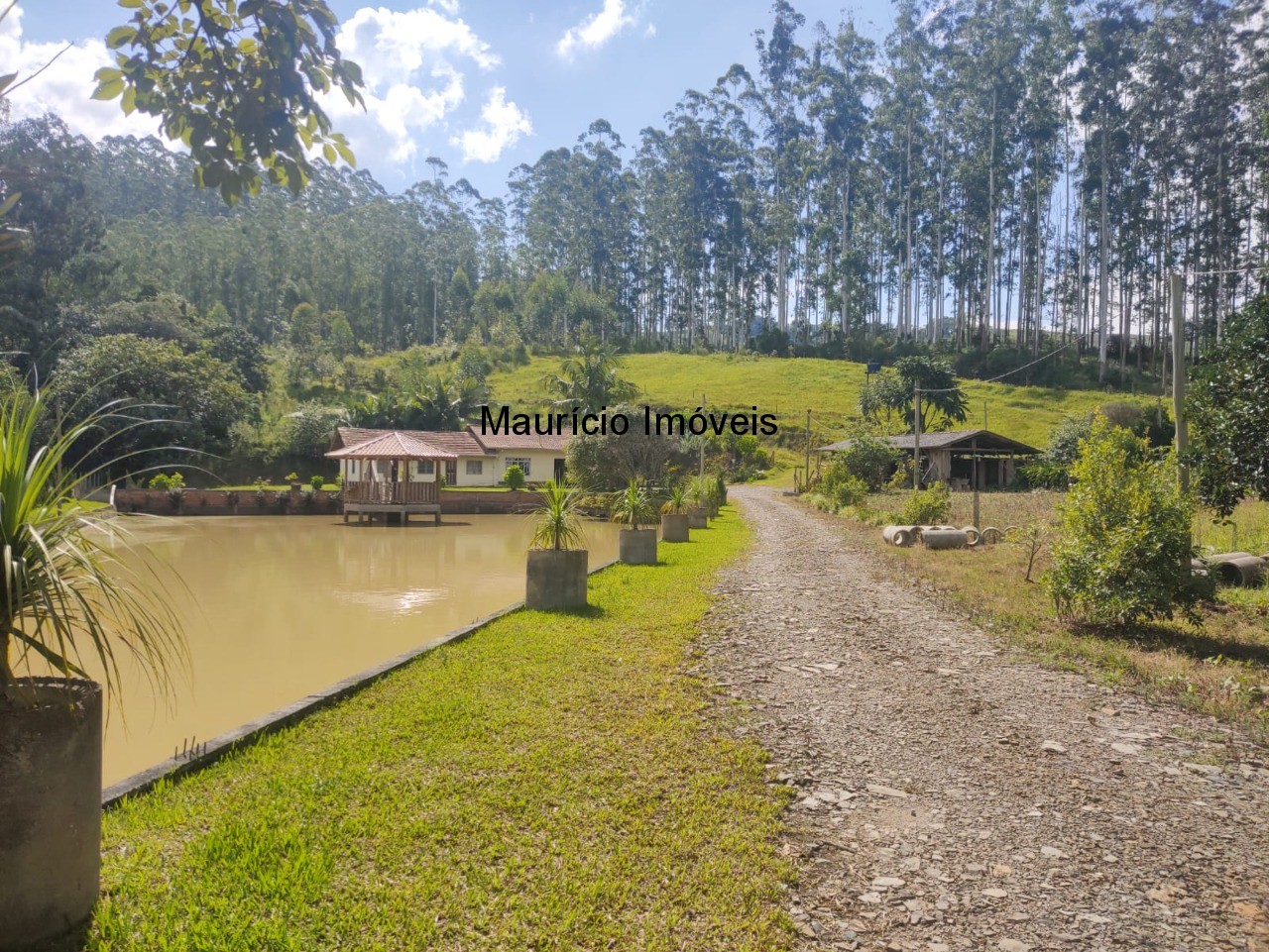 Sítio, 3 quartos, 3 hectares - Foto 1