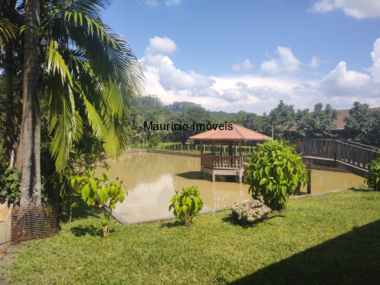 Sítio, 3 quartos, 3 hectares - Foto 29