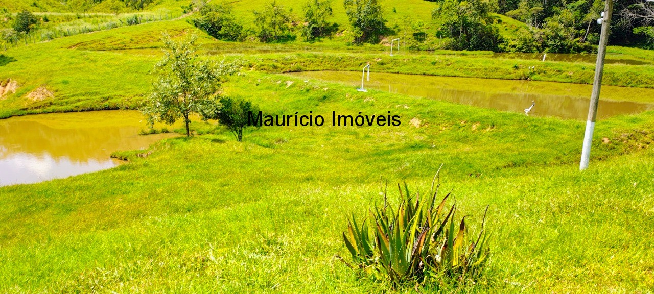 Sítio, 2 quartos, 6 m² - Foto 48