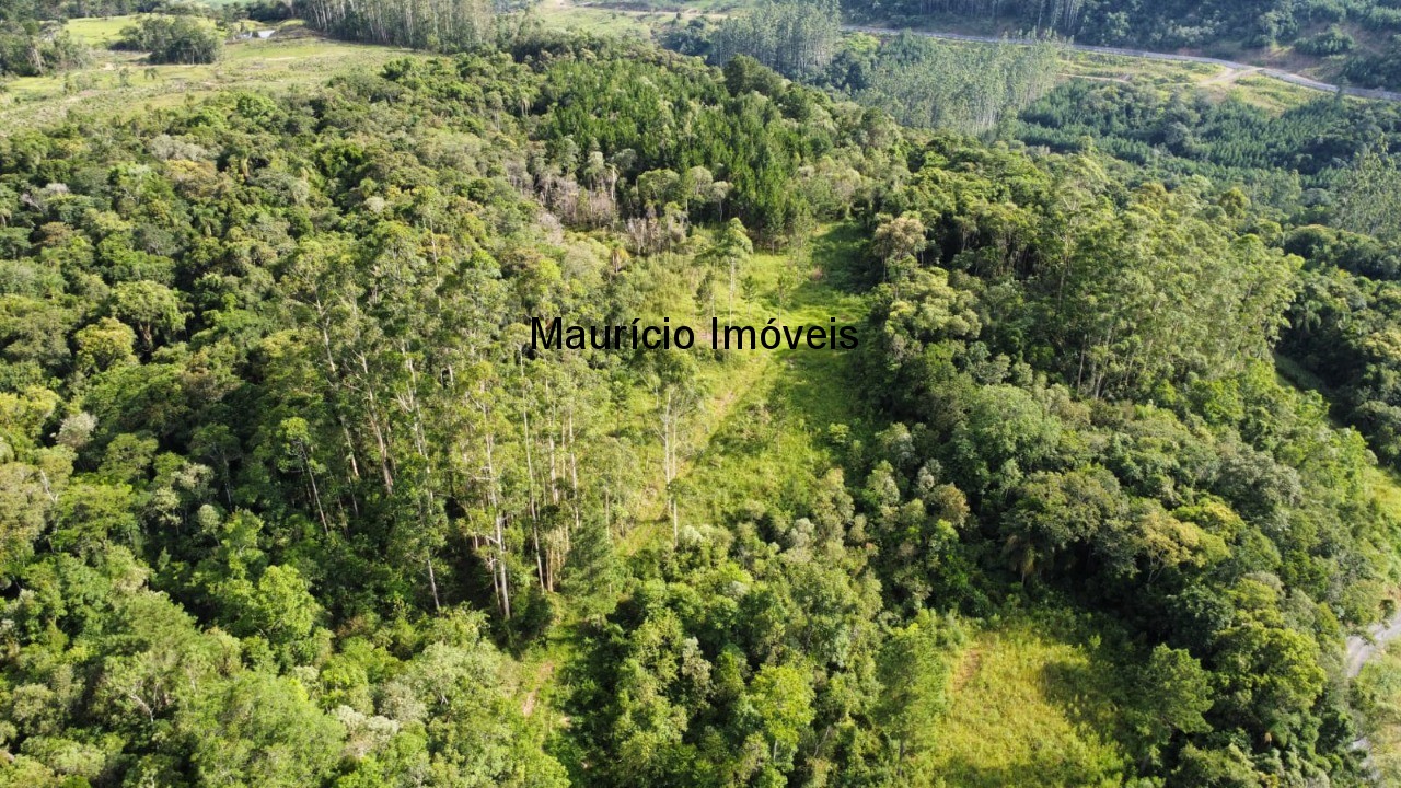 Sítio, 1 quarto, 20 m² - Foto 3