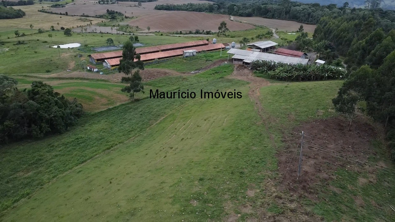 Sítio, 3 quartos, 32 m² - Foto 51