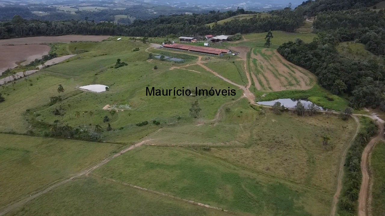 Sítio, 3 quartos, 32 m² - Foto 37