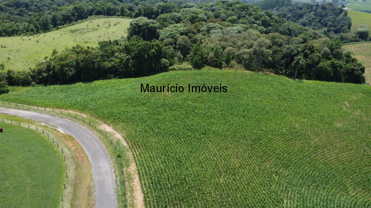 Fazenda, 37 m² - Foto 31