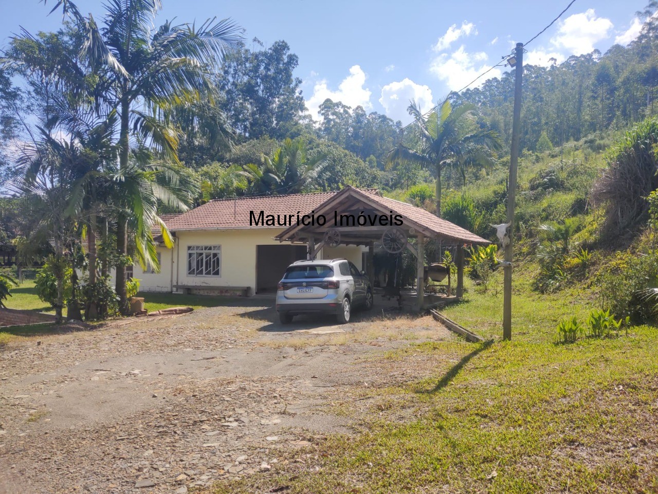 Sítio, 3 quartos, 3 hectares - Foto 19