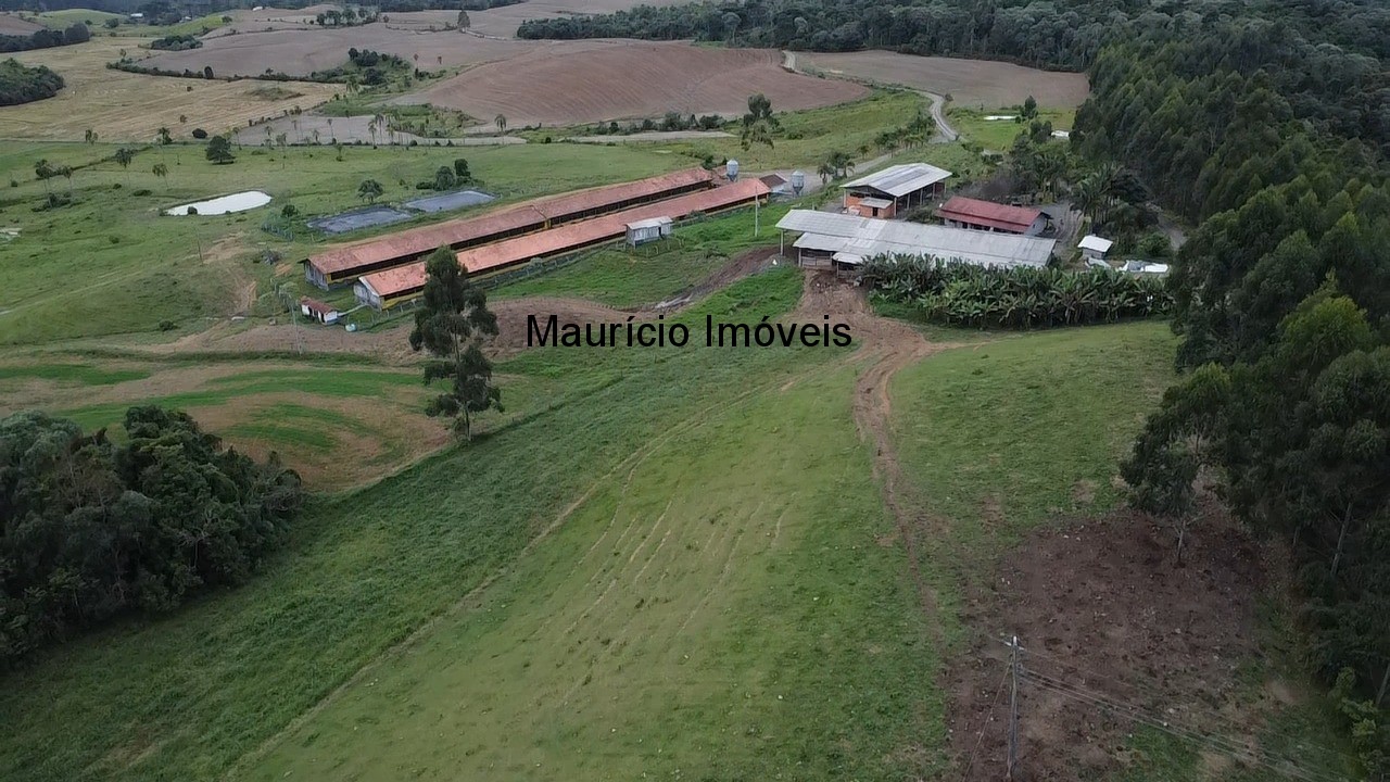 Sítio, 3 quartos, 32 m² - Foto 52