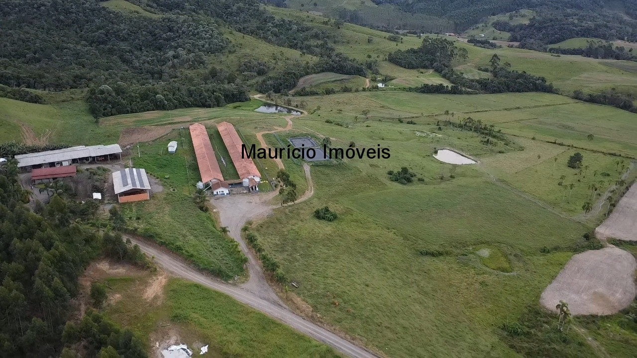 Sítio, 3 quartos, 32 m² - Foto 6