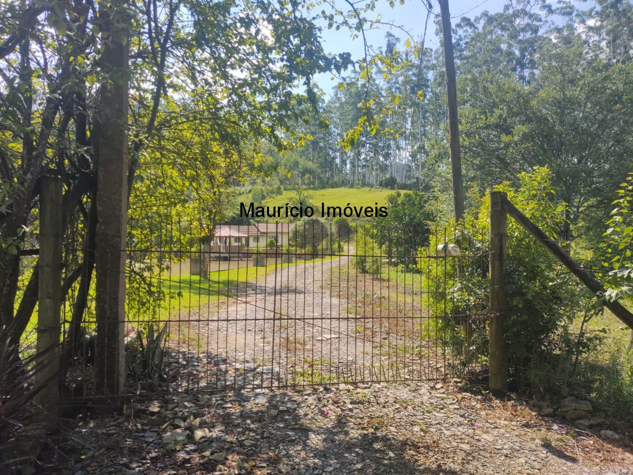 Sítio, 3 quartos, 3 hectares - Foto 13