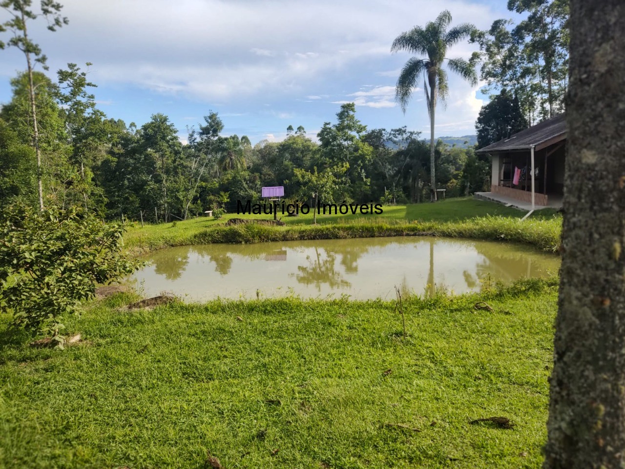 Chácara, 2 quartos, 1200 m² - Foto 16