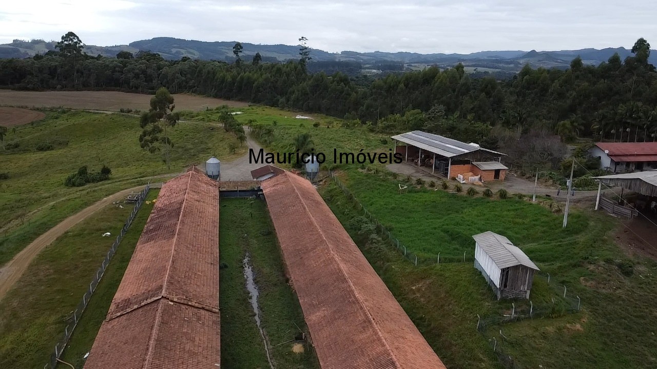 Sítio, 3 quartos, 32 m² - Foto 57
