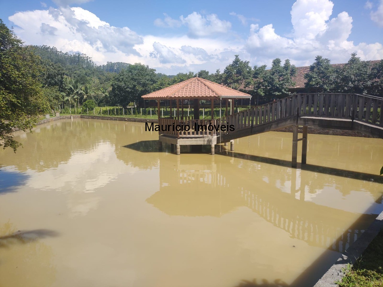 Sítio, 3 quartos, 3 hectares - Foto 23