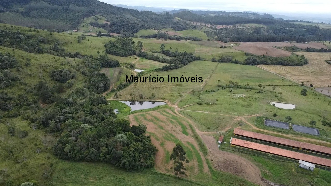 Sítio, 3 quartos, 32 m² - Foto 54