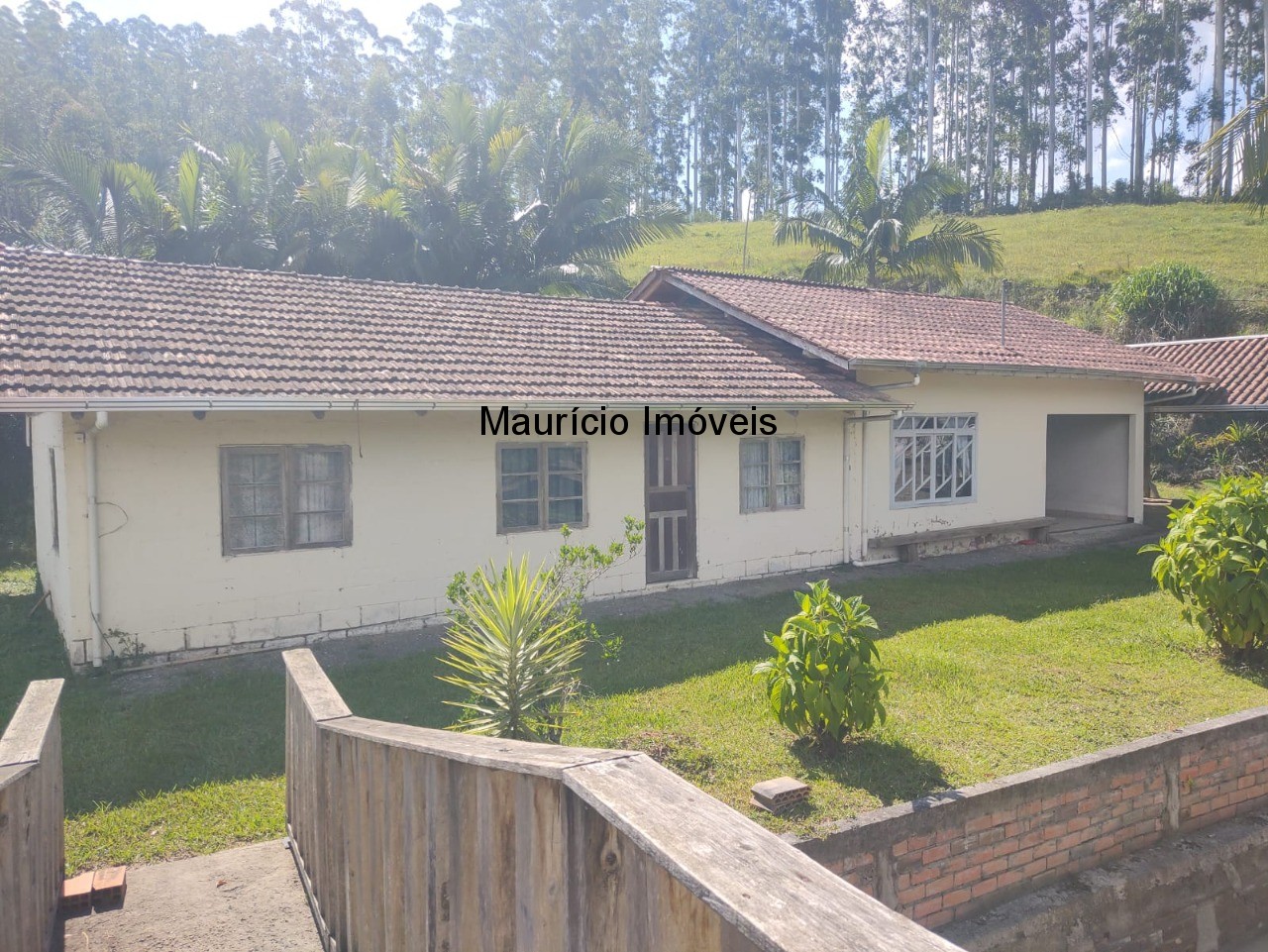 Sítio, 3 quartos, 3 hectares - Foto 5