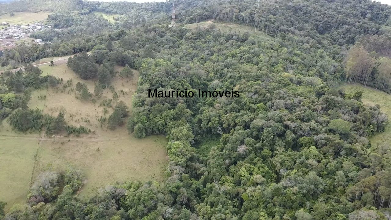 Terreno, 151569 m² - Foto 14