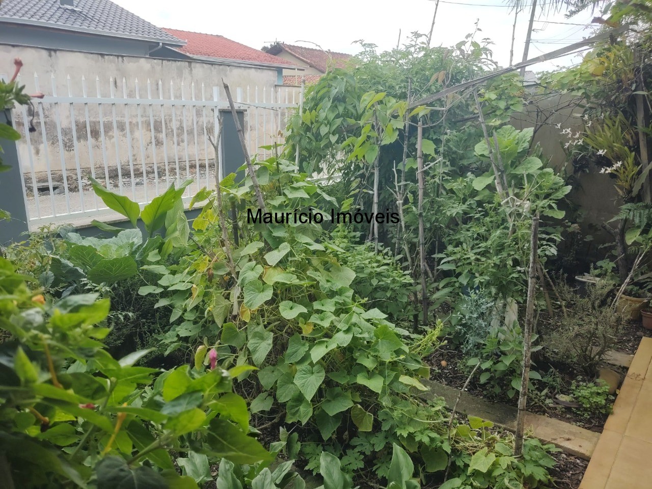 Casa, 4 quartos, 274 m² - Foto 25