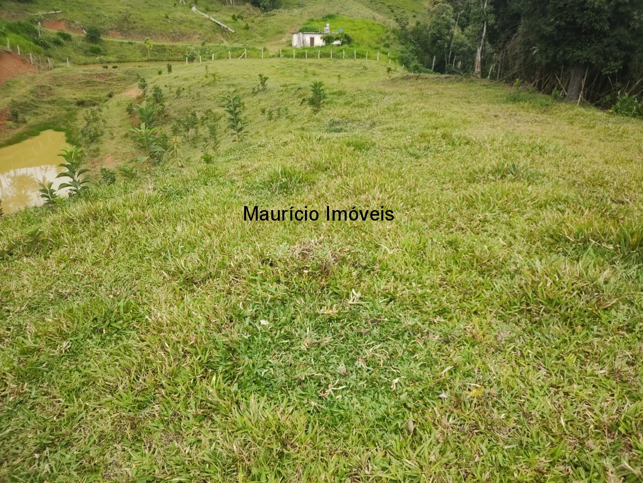 Sítio - Foto 36