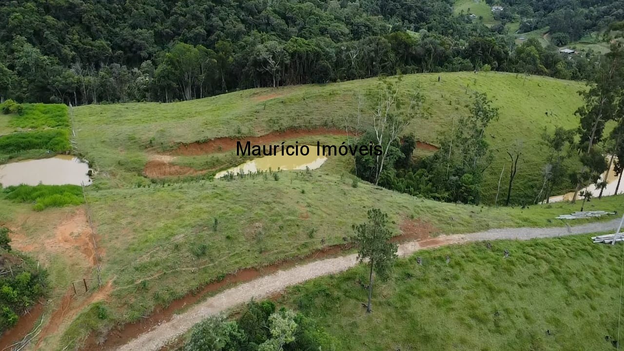 Sítio - Foto 3