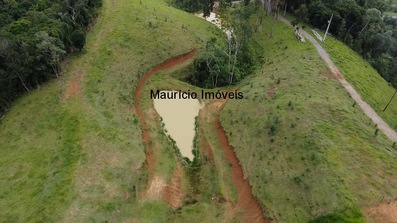 Sítio - Foto 1