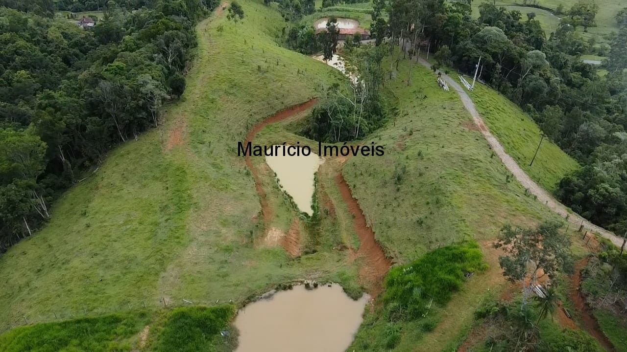 Sítio - Foto 5