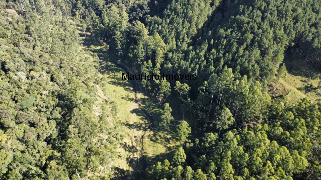 Fazenda, 250 m² - Foto 85