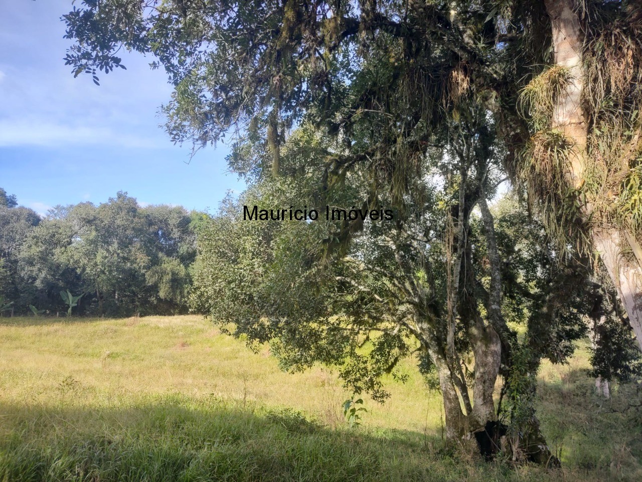 Fazenda, 3 m² - Foto 11