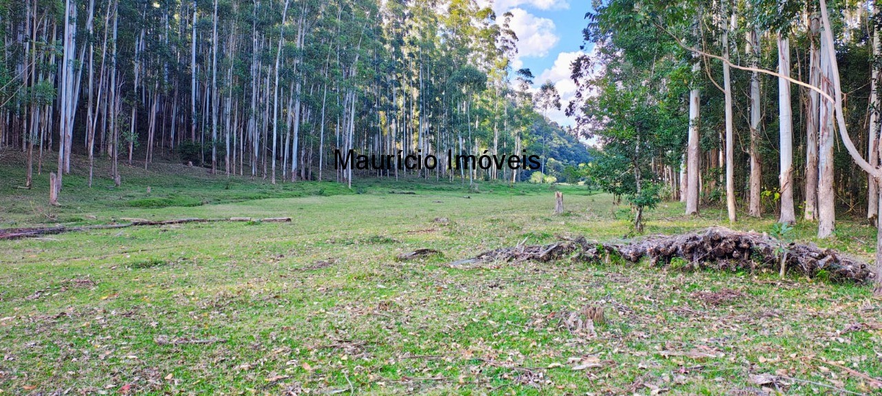 Fazenda, 250 m² - Foto 3