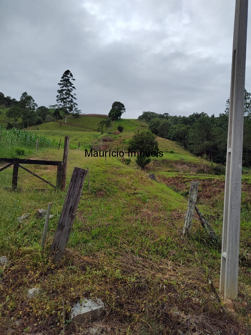 Fazenda, 5 m² - Foto 5