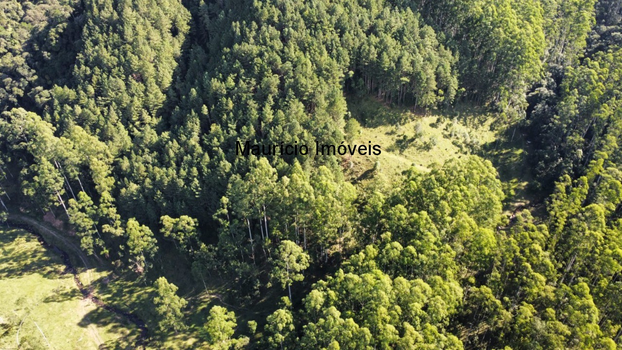 Fazenda, 250 m² - Foto 76