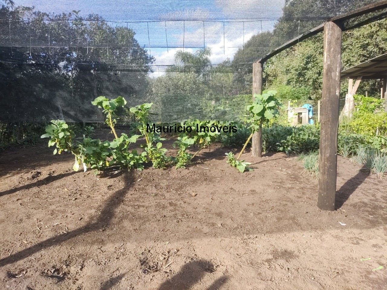 Fazenda, 3 m² - Foto 37