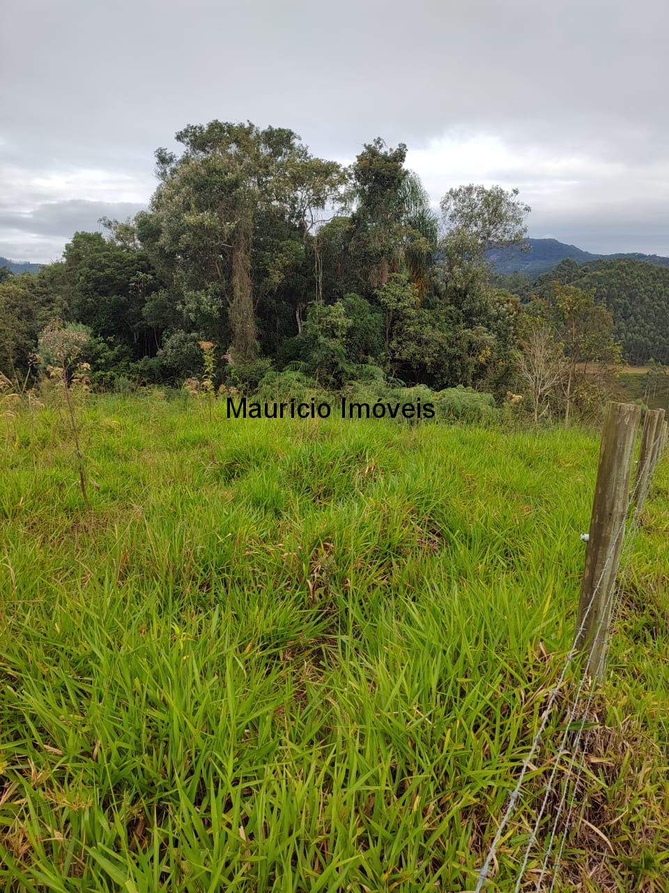 Fazenda, 5 m² - Foto 3