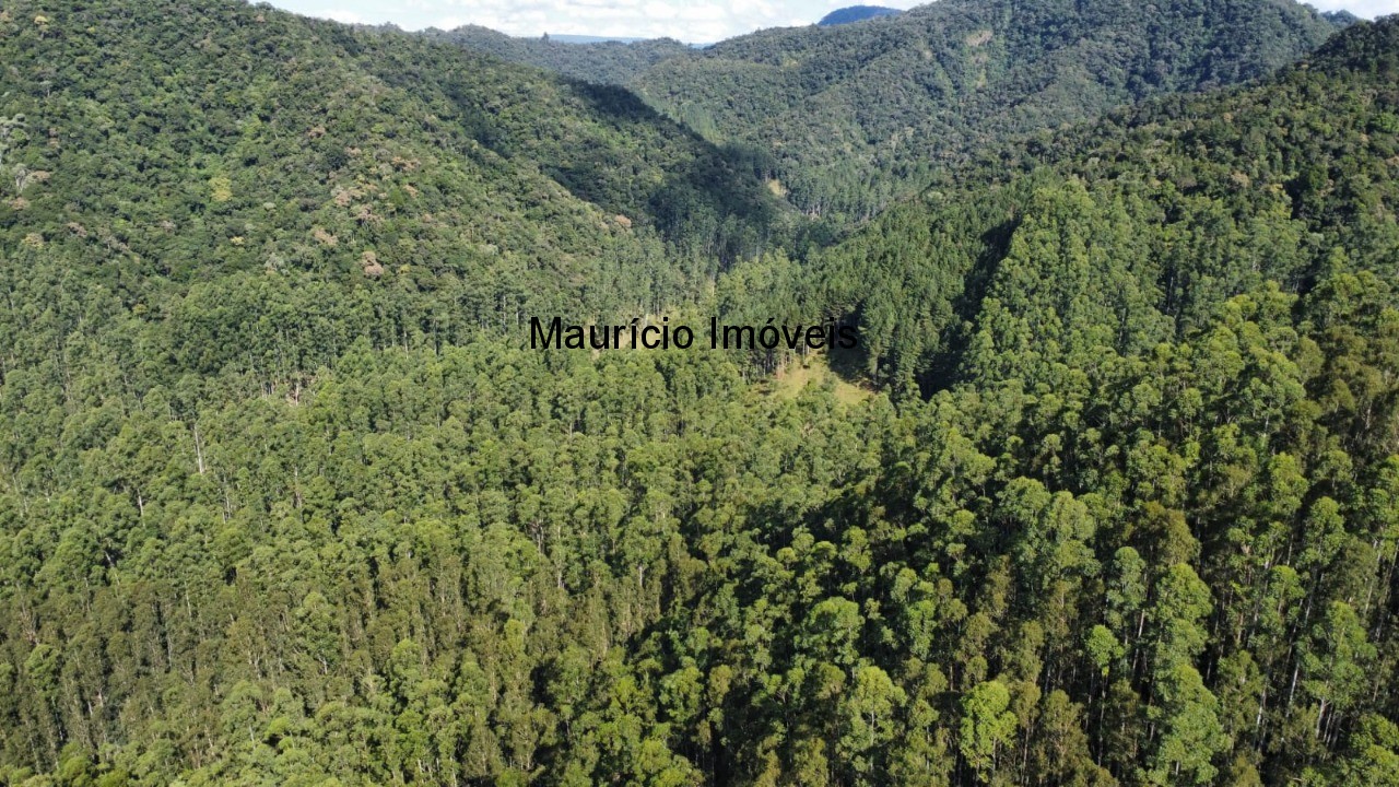 Fazenda, 250 m² - Foto 22